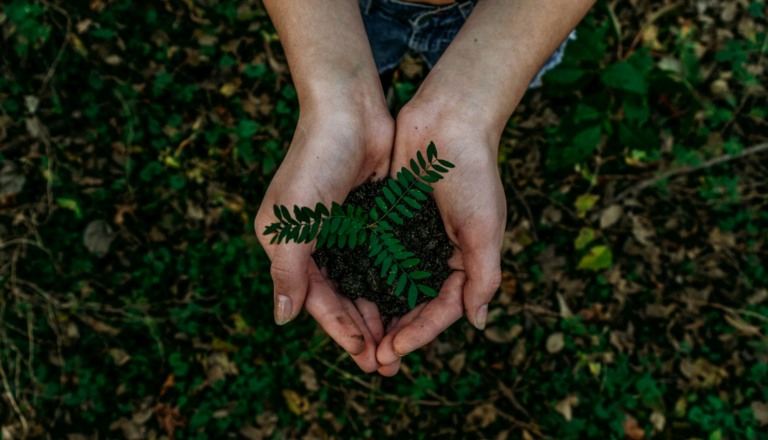 Imagem: Noah Buscher/Unsplash